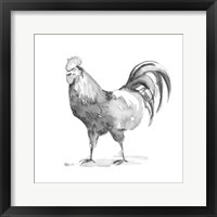 Framed 'Barn Fowl I' border=