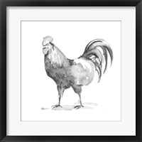 Framed 'Barn Fowl I' border=