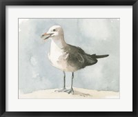 Simple Seagull II Framed Print