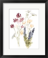 Lobelia Garden II Framed Print