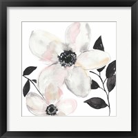 Framed 'Black & Blush Anemone II' border=