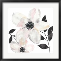 Black & Blush Anemone II Framed Print