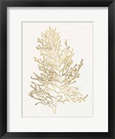 Gilded Algae IV Framed Print