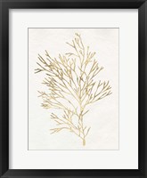Gilded Algae VII Framed Print