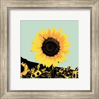 Framed 'Pop Art Sunflower I' border=