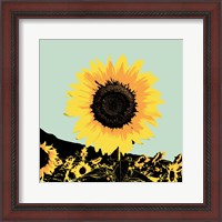 Framed 'Pop Art Sunflower I' border=