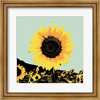 Framed 'Pop Art Sunflower I' border=