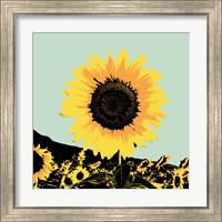 Framed 'Pop Art Sunflower I' border=