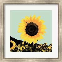 Framed 'Pop Art Sunflower I' border=