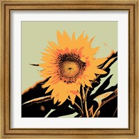 Framed 'Pop Art Sunflower II' border=