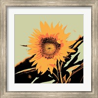 Framed 'Pop Art Sunflower II' border=