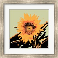 Framed 'Pop Art Sunflower II' border=