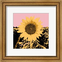 Framed 'Pop Art Sunflower III' border=