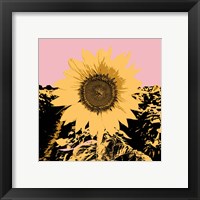 Framed 'Pop Art Sunflower III' border=