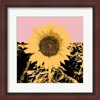 Framed 'Pop Art Sunflower III' border=