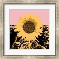 Framed 'Pop Art Sunflower III' border=