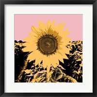 Framed Pop Art Sunflower III