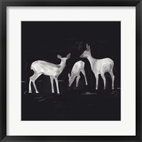 Sophisticated Whitetail I Framed Print