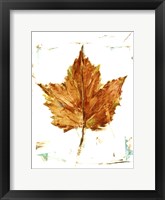 Autumn Leaf Study I Framed Print