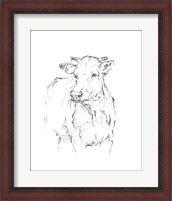 Framed 'Bovine Quick Study II' border=