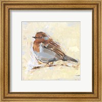 Framed 'Bird Variety I' border=