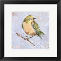 Framed 'Bird Variety II' border=