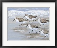 Sandpipers I Framed Print