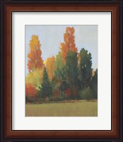 Framed 'Fall Colors I' border=