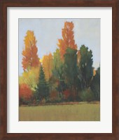 Framed 'Fall Colors I' border=