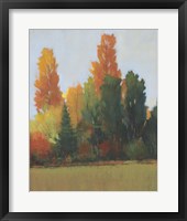 Fall Colors I Framed Print