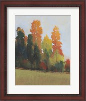 Framed 'Fall Colors II' border=