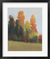 Fall Colors II Framed Print