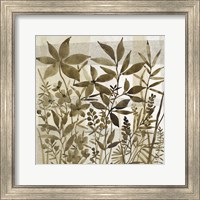 Framed 'Neutral Garden I' border=