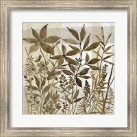 Framed 'Neutral Garden I' border=