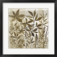 Neutral Garden I Framed Print