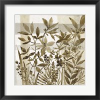 Neutral Garden II Framed Print