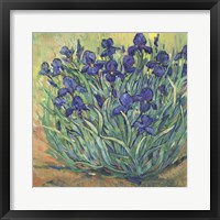 Framed Irises in Bloom I