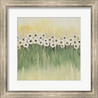 Framed 'Rows of Flowers I' border=