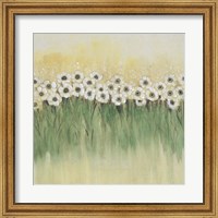 Framed 'Rows of Flowers I' border=