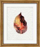 Framed 'Watercolor Autumn Leaf I' border=