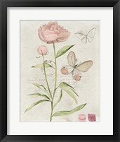 Framed 'Field Notes Florals II' border=