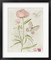 Framed 'Field Notes Florals II' border=