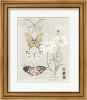 Framed 'Field Notes Florals IV' border=