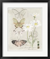 Field Notes Florals IV Framed Print