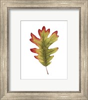 Framed 'Fall Leaf Study II' border=