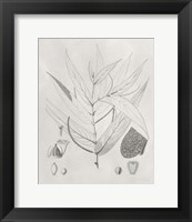 Framed 'Vintage Leaves IV' border=