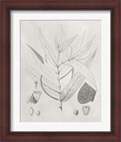 Framed 'Vintage Leaves IV' border=