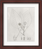 Framed 'Vintage Leaves V' border=