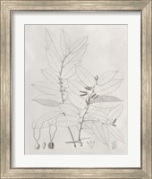 Framed 'Vintage Leaves VI' border=