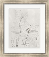 Framed 'Vintage Leaves VI' border=